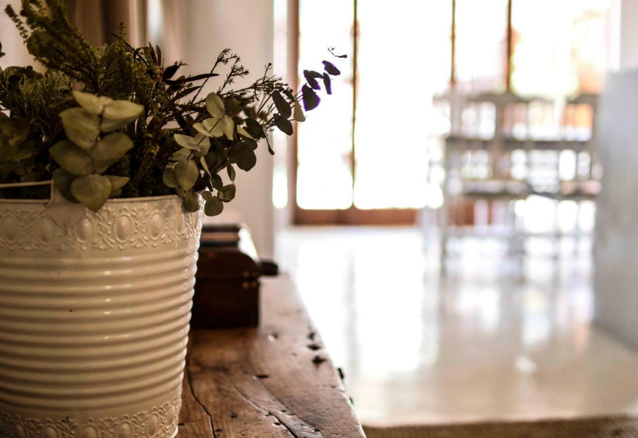 @Mango'S Apartman Beaufort West Kültér fotó